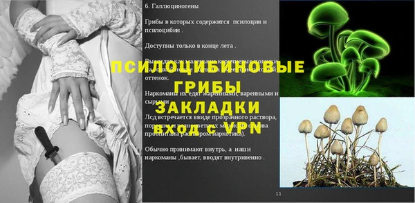 ALPHA PVP Козельск