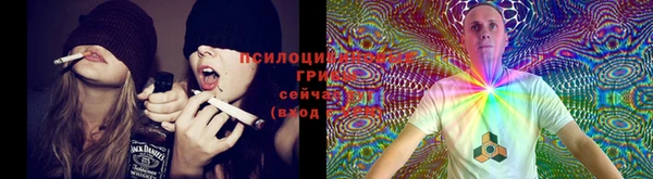 спиды Кодинск